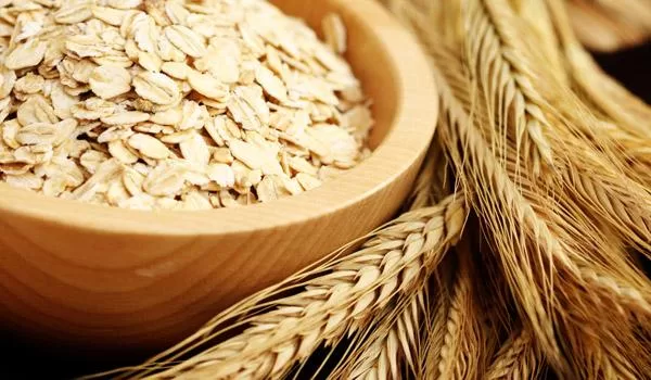 fibre: the ultimate healer